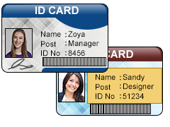 ID Card Corporate Icon